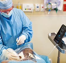 Sis&auml;tautien tutkimukset