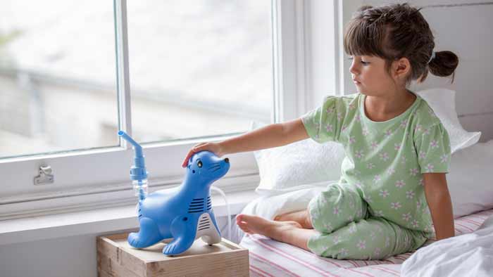 lapsi ja sami the seal