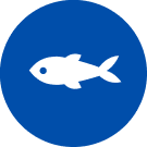 Kalakuvake